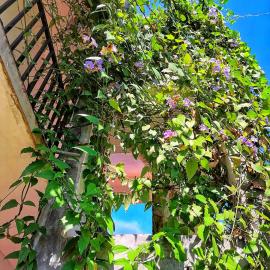 KNT Villa, hotel in Weligama