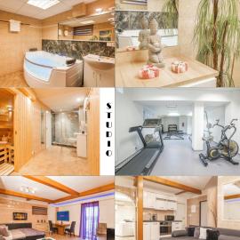 Wellness studio! Finnish sauna, Whirlpool, Gym & more!