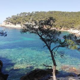 Petit coin de paradis., hotel in Six-Fours-les-Plages