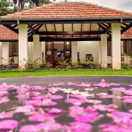 Aroma Woods, hotel in Hikkaduwa