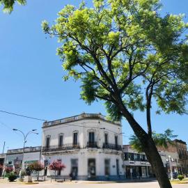 Dia 32 Guest House