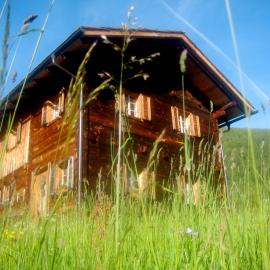 Almhütte Gorgasser, viešbutis mieste Heiligenblut