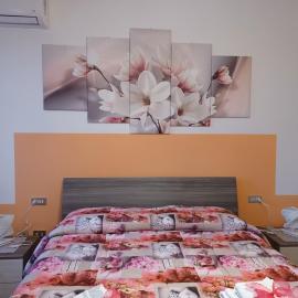 Quo Vadis Qui Vieni, hotel Rovigóban