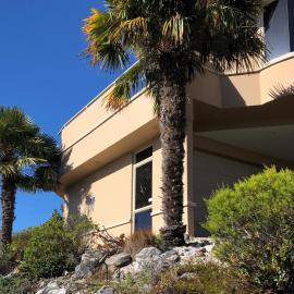 Citrus Grove, hotel in Nelson