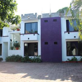 Hotel Palmarito
