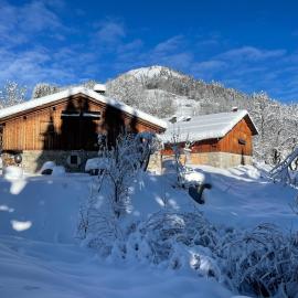 Chalet Alpage Proche Genève, hotell sihtkohas Mégevette