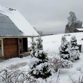 Safari House、オテパーのホテル