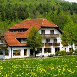Rhön-Hotel Sonnenhof -, hotel em Poppenhausen