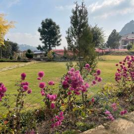 KAFAL TREE Home Stay - PET FRIENDLY