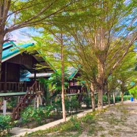 Rasta House,,Koh Phayam, hotel v destinaci Ko Phayam