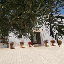 Profumo Di Terra, hotel in Monopoli