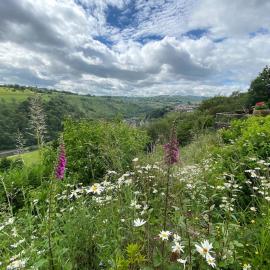 The Crest Hillside Retreat With Hot Tub – hotel w mieście Abertillery
