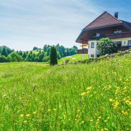 Hubertus Lodge, hotell sihtkohas Ibach