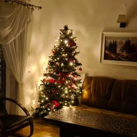 Apartament Kazimierza Wielkiego, hotel Sośnica városában