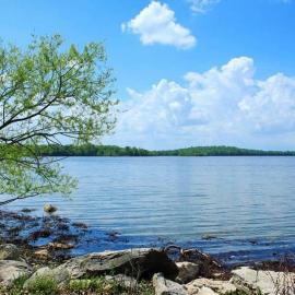 1Min to Percy Priest Lake 2 Masters Quiet Family Home, hotel in La Vergne