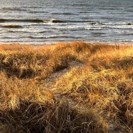 Ragares - the greatest beach house near the Baltic sea, hotel in Jūrmalciems