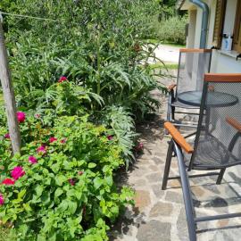 Apartma Istra Zora