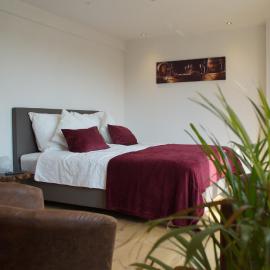 Privatweingut Schmidt, hotel di Heitersheim