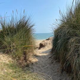 Driftwood WINTERTON VALLEY ESTATE Dog Friendly, hotel in Winterton-on-Sea