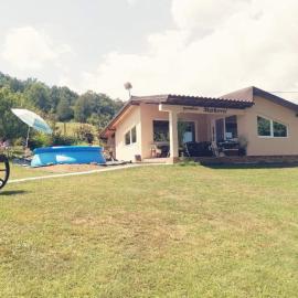 "Porodica MARKOVIC" Borsko jezero, hotel Borban
