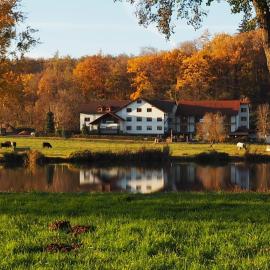 Landgasthof Rotlipp Gästezimmer, готель у місті Ortenberg