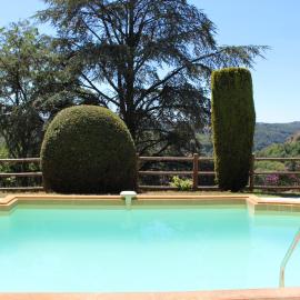 Charming cottage in Dordogne - with swimming pool from June 1st to Sept 30th، فندق في دوم