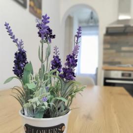 The Hidden Well Holiday Home