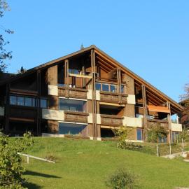 Apartment Rehli by Interhome, viešbutis mieste Beatenbergas