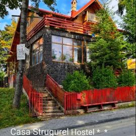 vila strugurelu hostel، فندق في بريدال