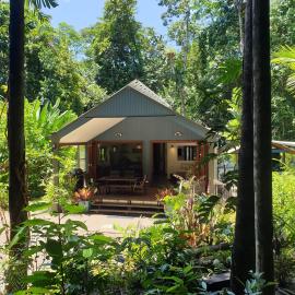 Forest views, Hotel in Diwan