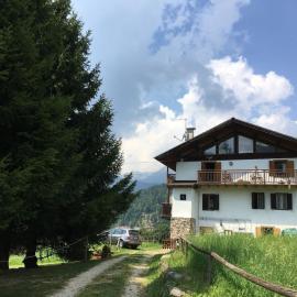 CASA BERNARD Zortea VANOI cuore verde del Trentino, hotel a Canale San Bovo