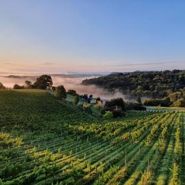 Weingut & Ferienwohnungen Lenhard, hotel di Lang