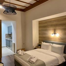 11 Luxury Apartments Metsovo.