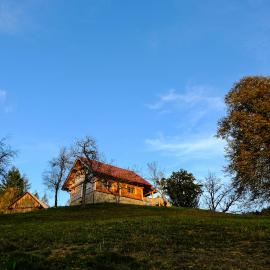 Cottage Golenovo, Hotel in Podvelka