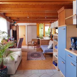Zentrale Ferienwohnung auf dem schönen Hunsrück, Hotel in Halsenbach