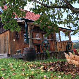 Ferienhaus FRIEDLHOF, hotell sihtkohas Langschlag