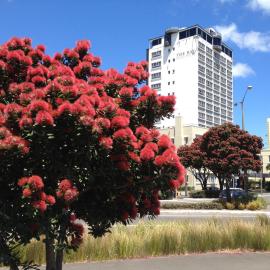 Bay Plaza Hotel, hotel u gradu Velington