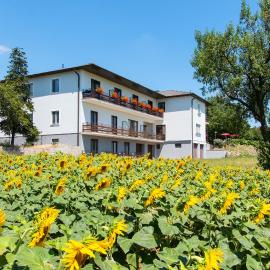 Gasthof-Pension Wein, hotel in Breitenbrunn