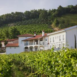 Peterc Vineyard Estate, hotel in Kojsko