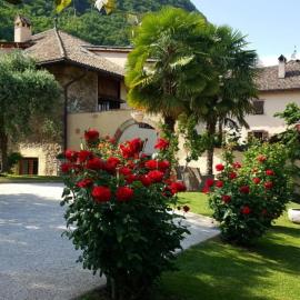 Ansitz Strengherrnhof, hotel in Caldaro