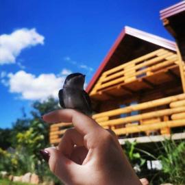Wooden House "Una", hotel in Kulen Vakuf