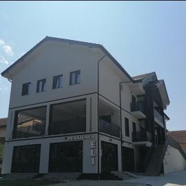 Pensiunea Eli, Hotel in Buziaş