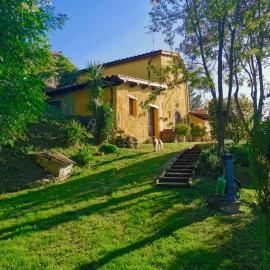Casale Druida