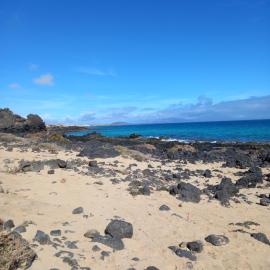 FuerteSun Dunas beach, hotel v destinaci Parque Holandes