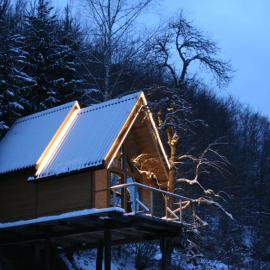 Tree house - Tara Place