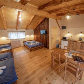 Apartment Ve Mlýně, hotel in Teplice nad Metují