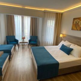 Hotel Pelit
