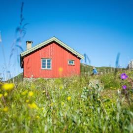 Olestølen, hotel v mestu Skammestein