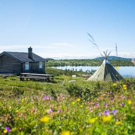 Olebu, hotel a Skammestein