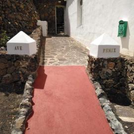 Centro Ave Fénix, hotell i Femés